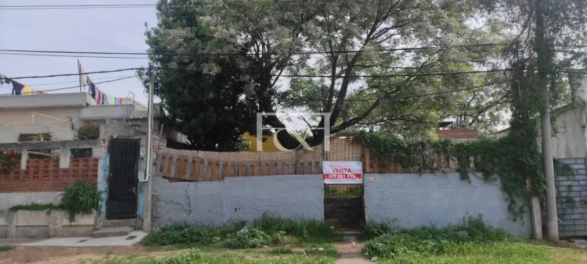 Casa en La Teja, propiedad 295466 -Imagen 2