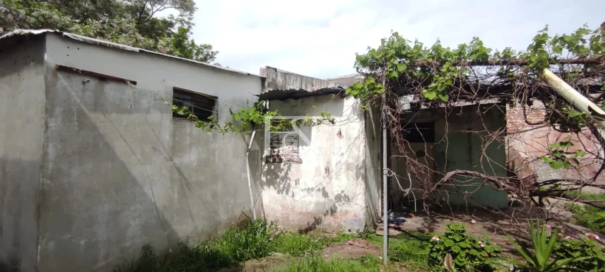 Casa en La Teja, propiedad 295466 -Imagen 20