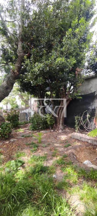 Casa en La Teja, propiedad 295466 -Imagen 22