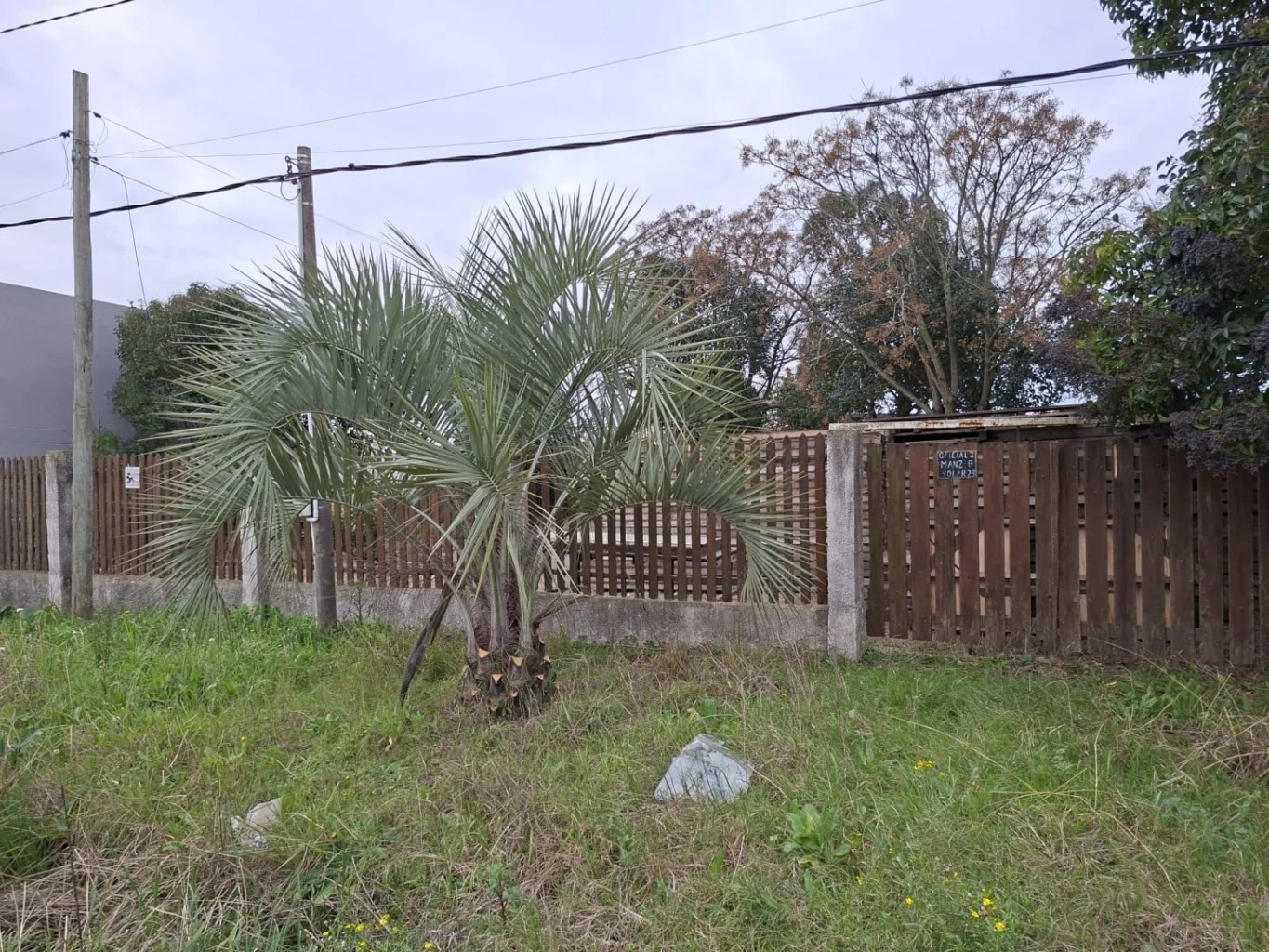 Terreno en San José de Carrasco, propiedad 298454 -Imagen 4