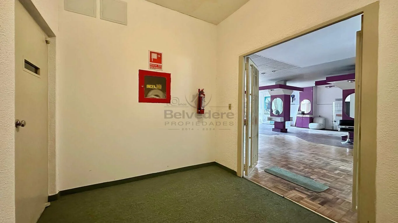 Local en Centro, propiedad 194468 -Imagen 16