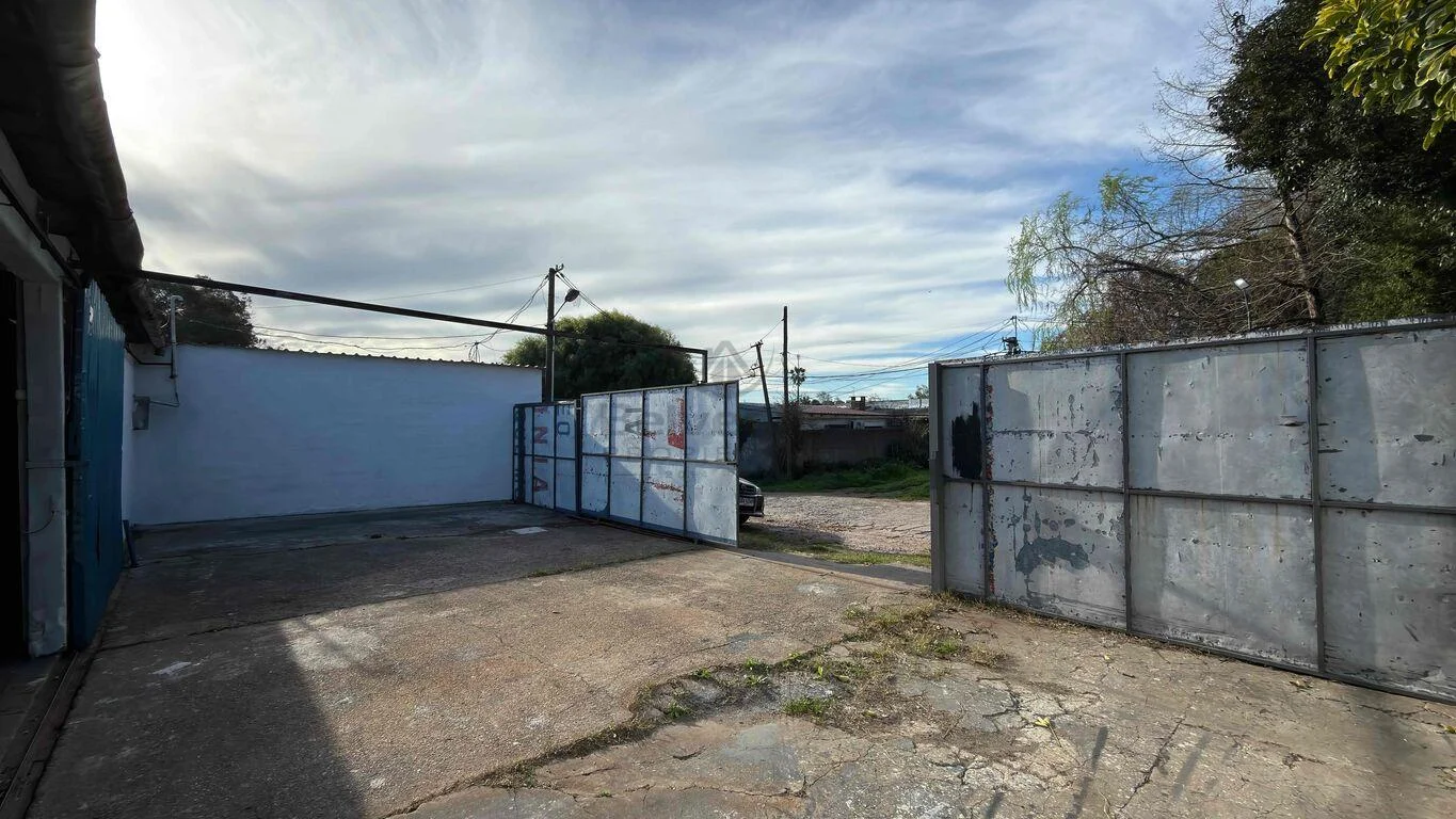 Local en Belvedere, propiedad 293249 -Imagen 3