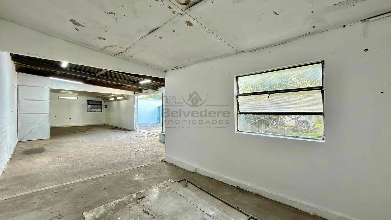 Local en Belvedere, propiedad 293249 -Imagen 5
