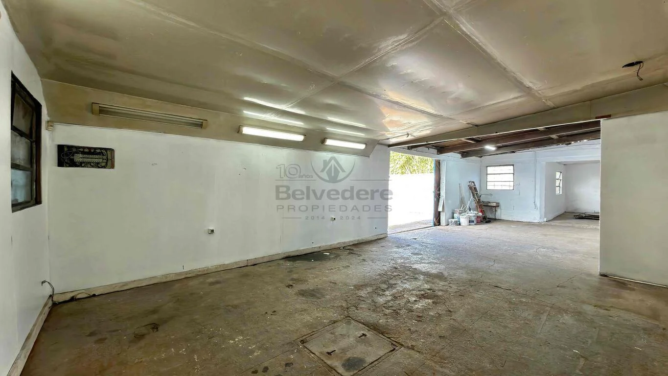 Local en Belvedere, propiedad 293249 -Imagen 7