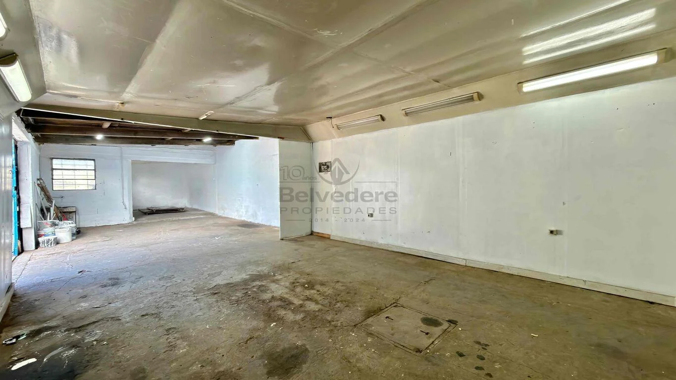 Local en Belvedere, propiedad 293249 -Imagen 8