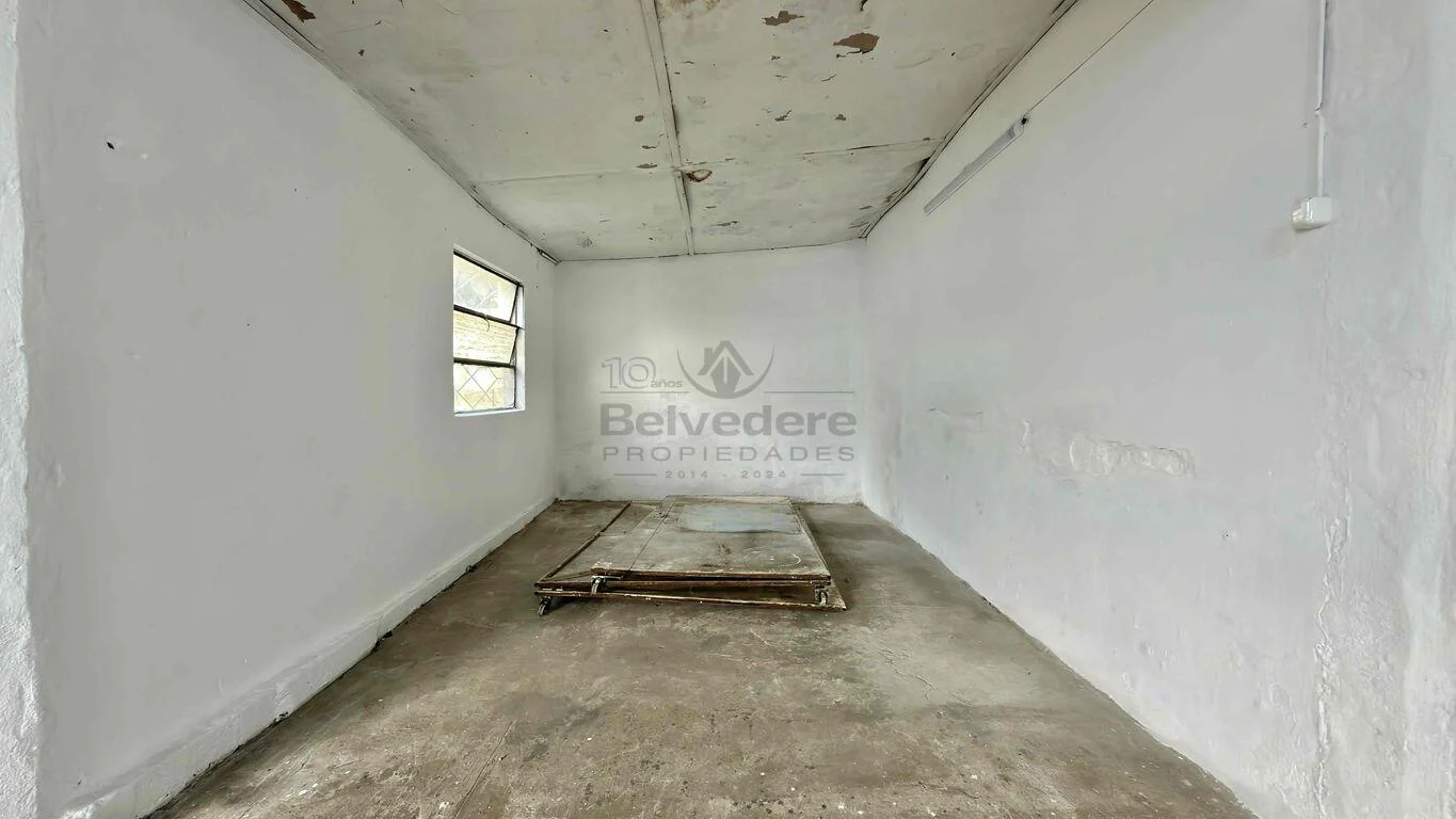 Local en Belvedere, propiedad 293249 -Imagen 10