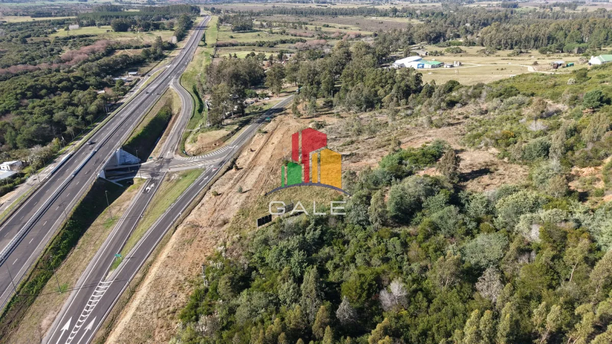 Campo en Maldonado, propiedad 262435 -Imagen 7