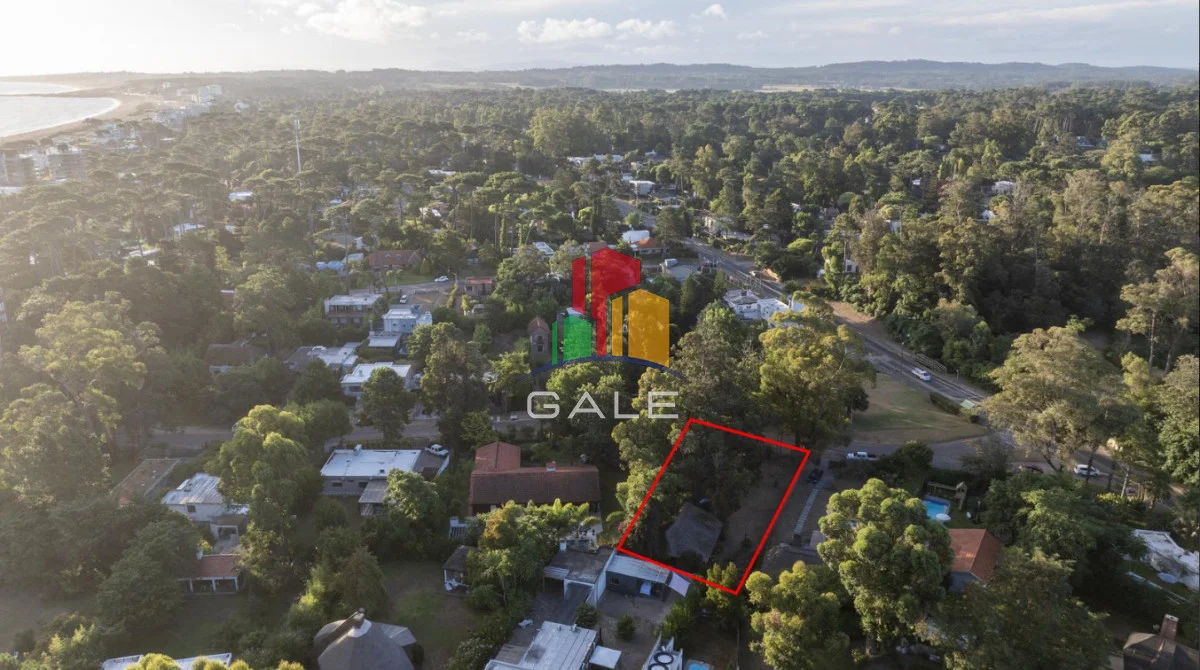 Terreno en Pinares, propiedad 291085 -Imagen 6