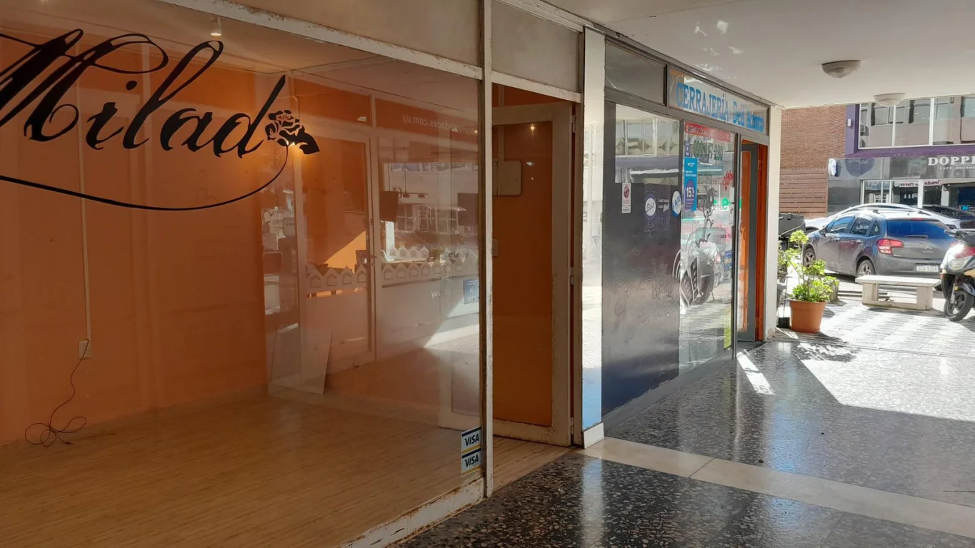 Local en Península, propiedad 273881 -Imagen 1