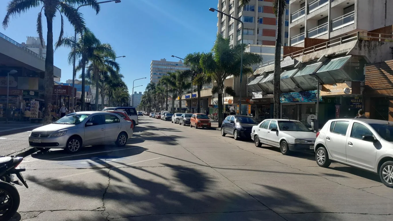 Local en Península, propiedad 273881 -Imagen 12