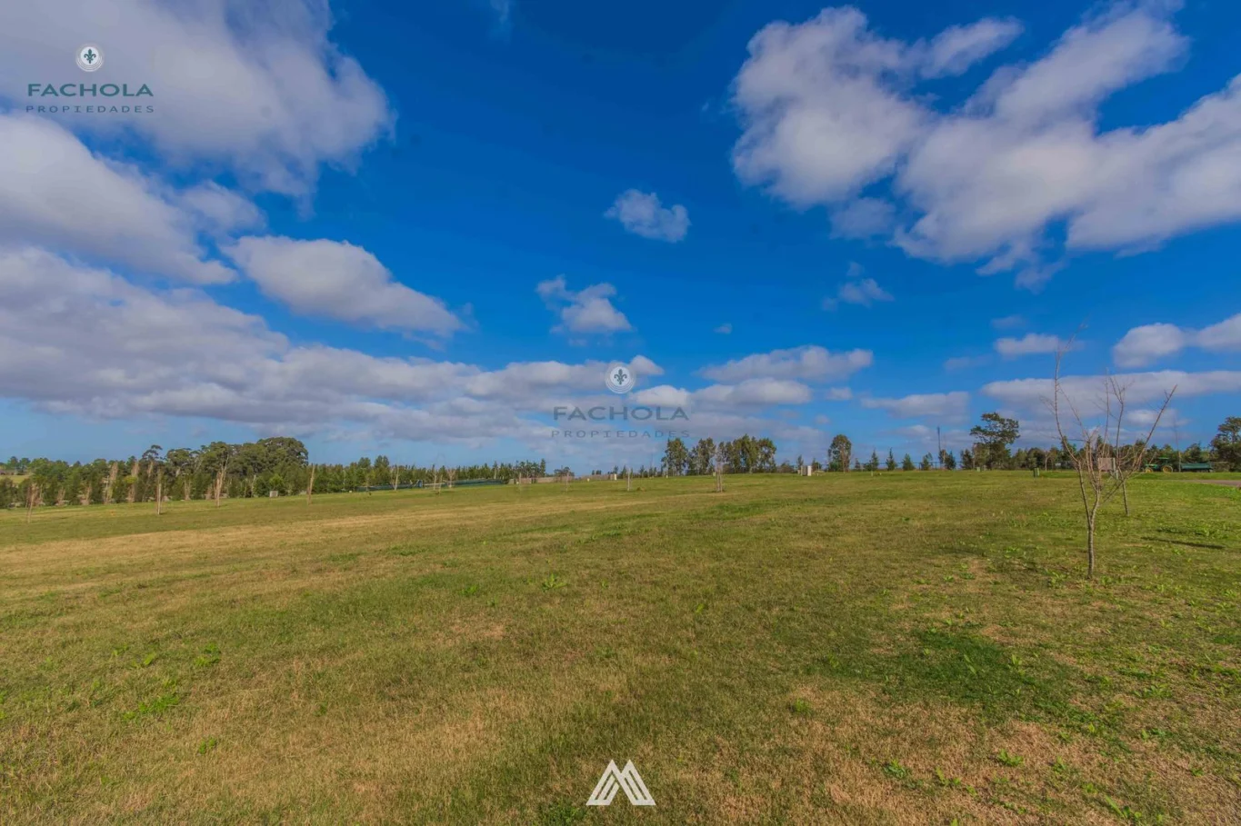 Terreno en Cavas de la Tahona, propiedad 289316 -Imagen 4