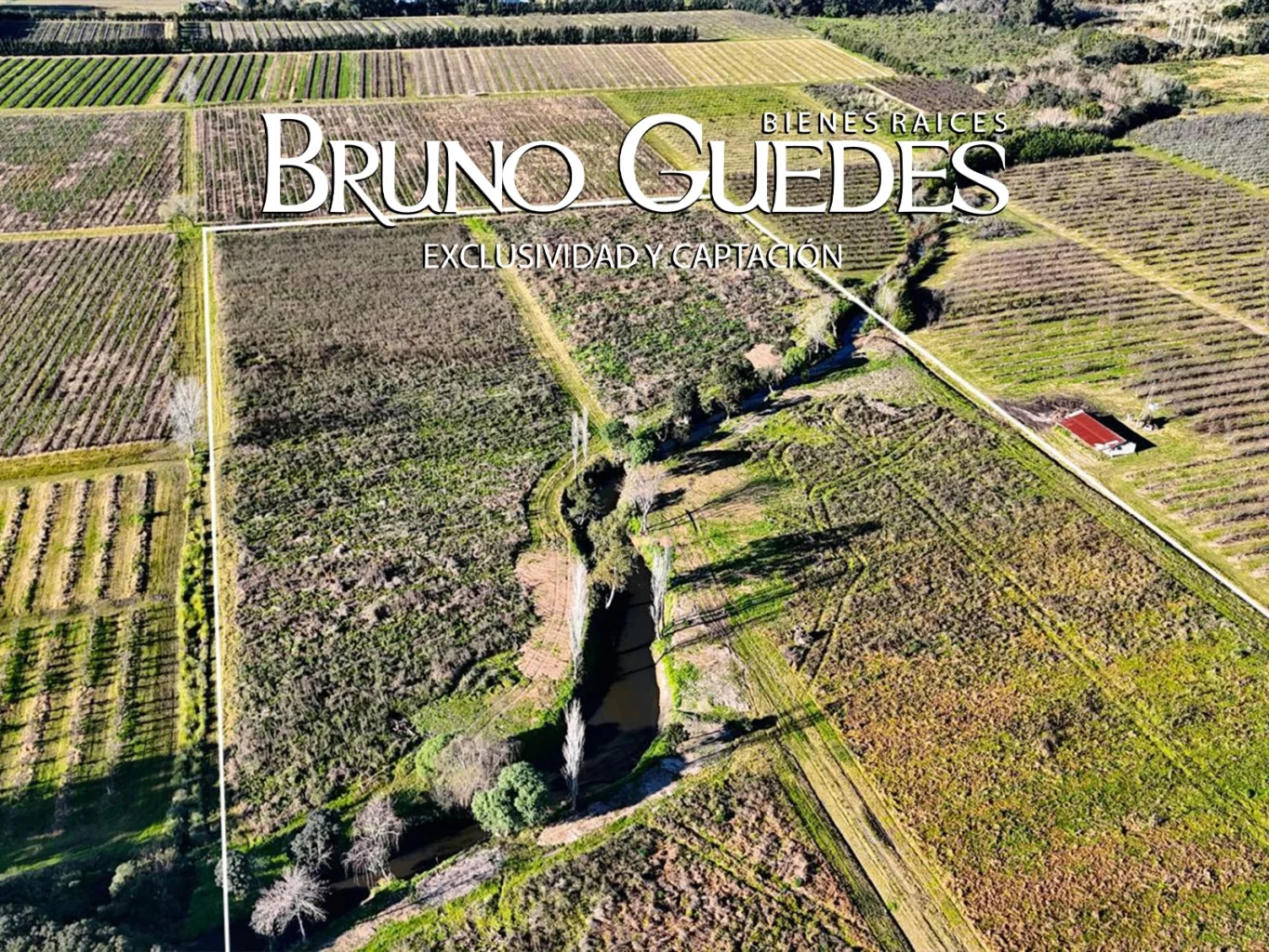 Campo en Melilla, propiedad 298566 -Imagen 11