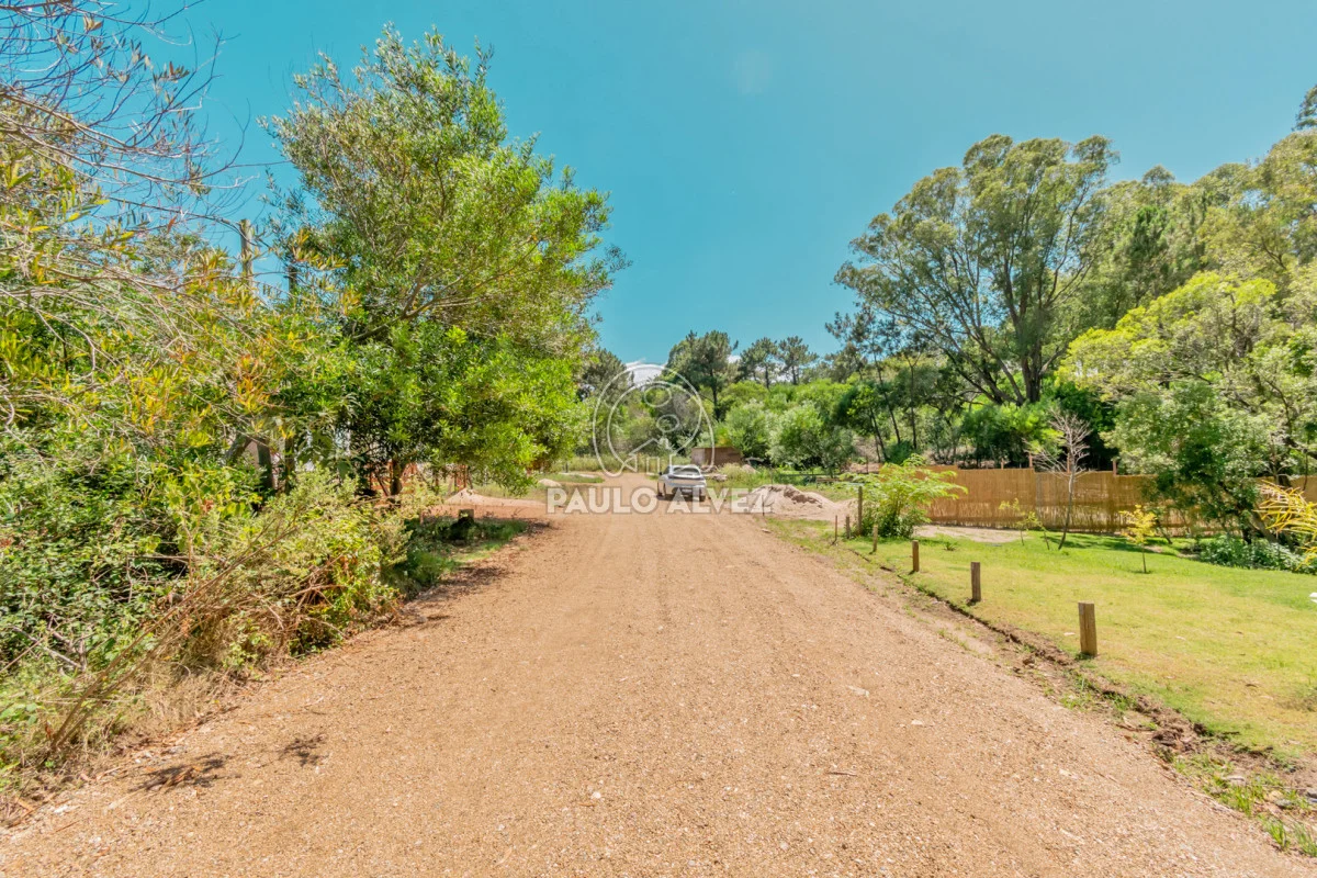 Casa en Punta Colorada, propiedad 169823 -Imagen 2