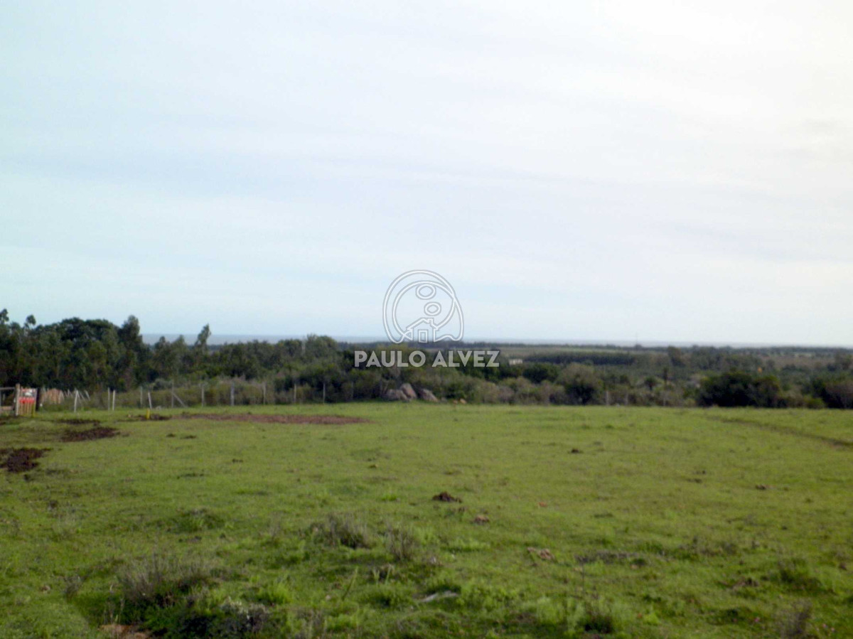Chacra en Las Flores, propiedad 169935 -Imagen 5