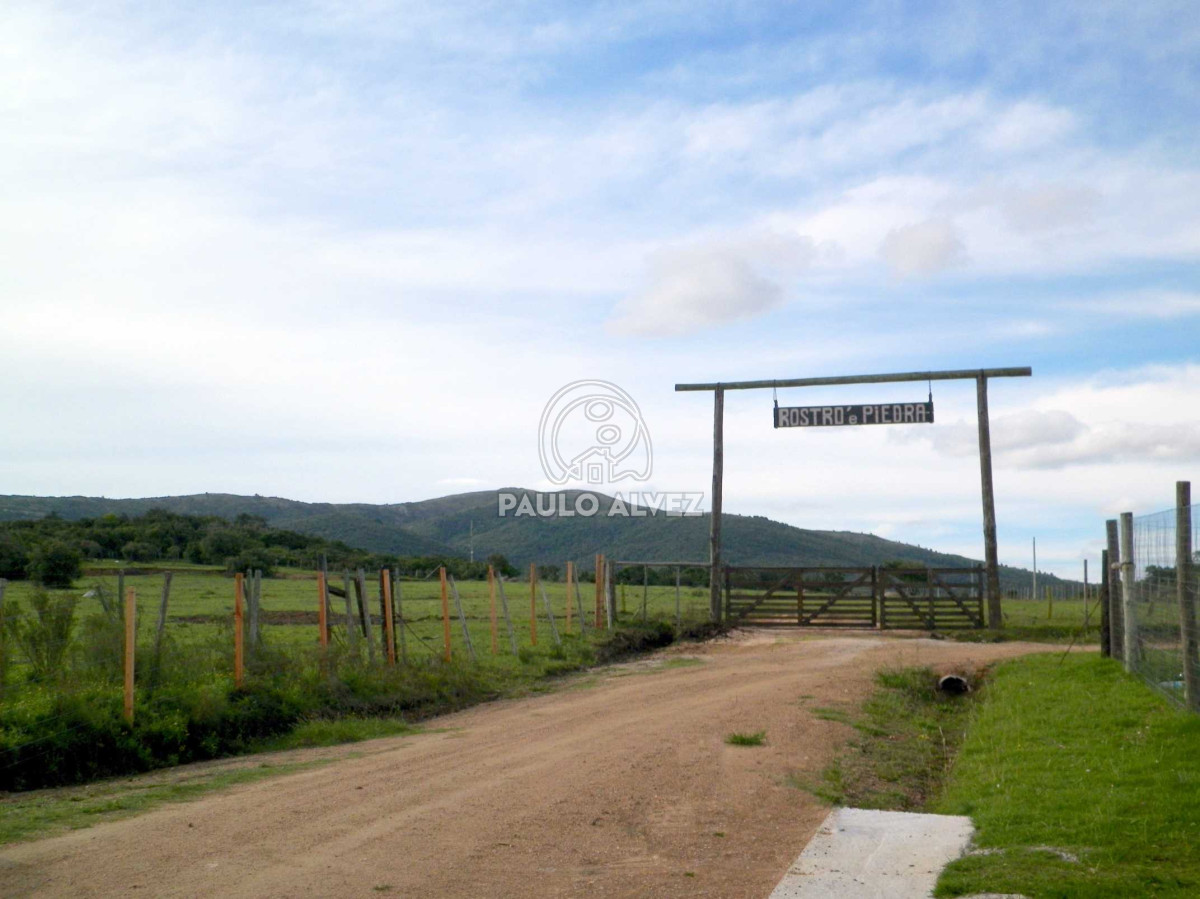 Chacra en Las Flores, propiedad 169935 -Imagen 1