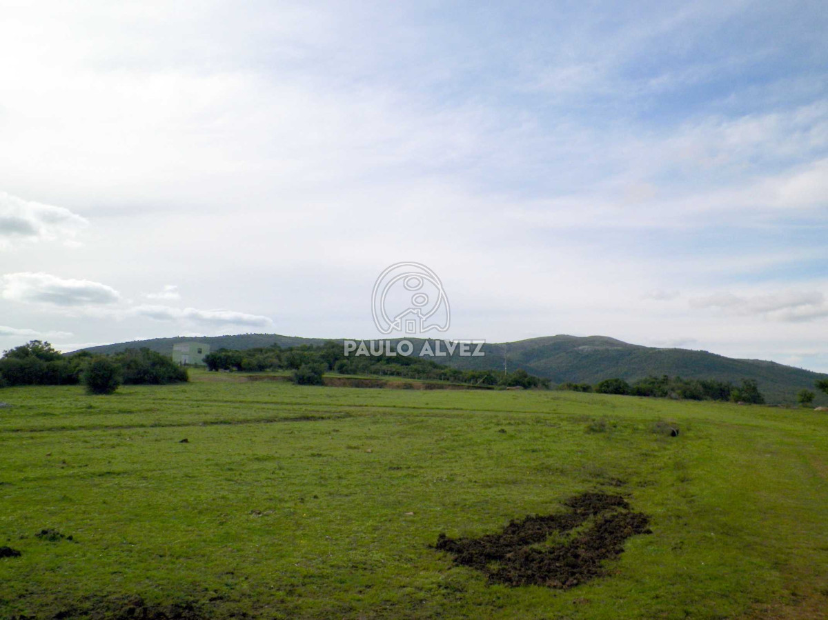 Chacra en Las Flores, propiedad 169935 -Imagen 3