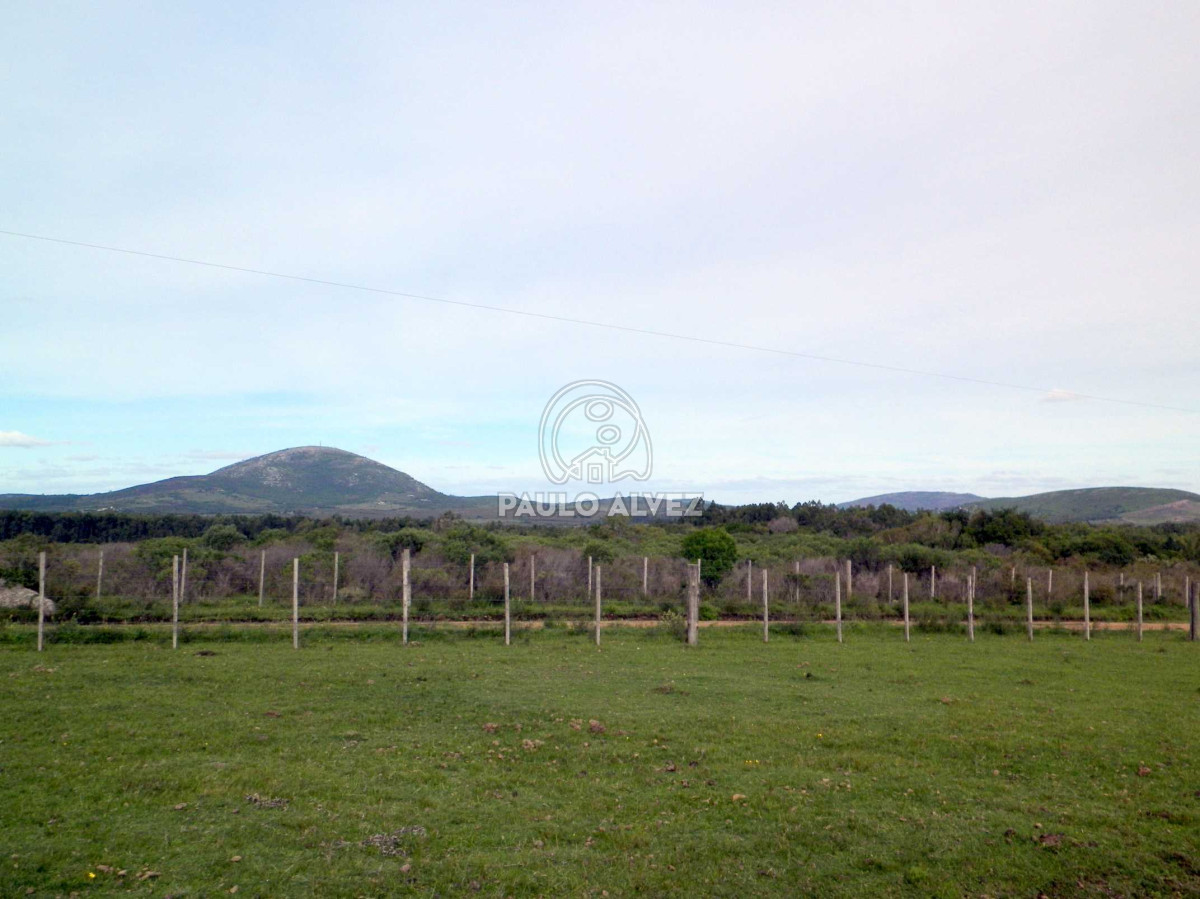 Chacra en Las Flores, propiedad 169935 -Imagen 4