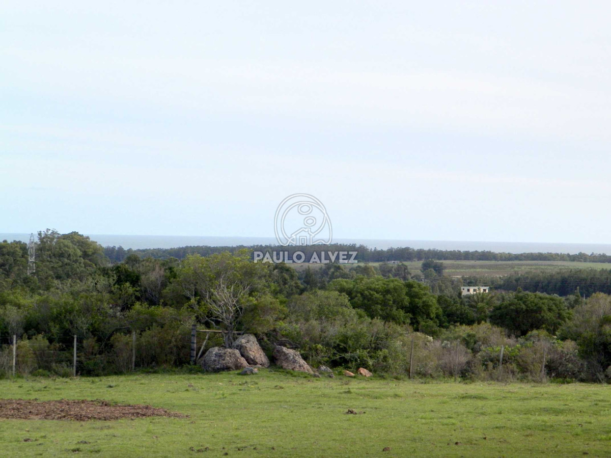 Chacra en Las Flores, propiedad 169935 -Imagen 6