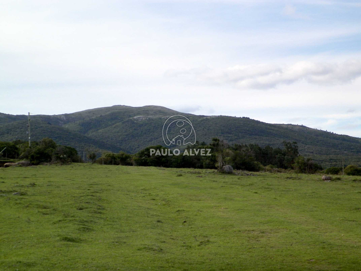 Chacra en Las Flores, propiedad 169935 -Imagen 7