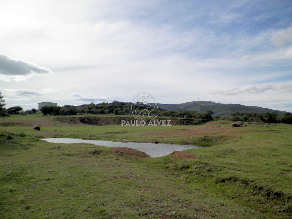 Chacra en Las Flores, propiedad 169935 -Imagen 8