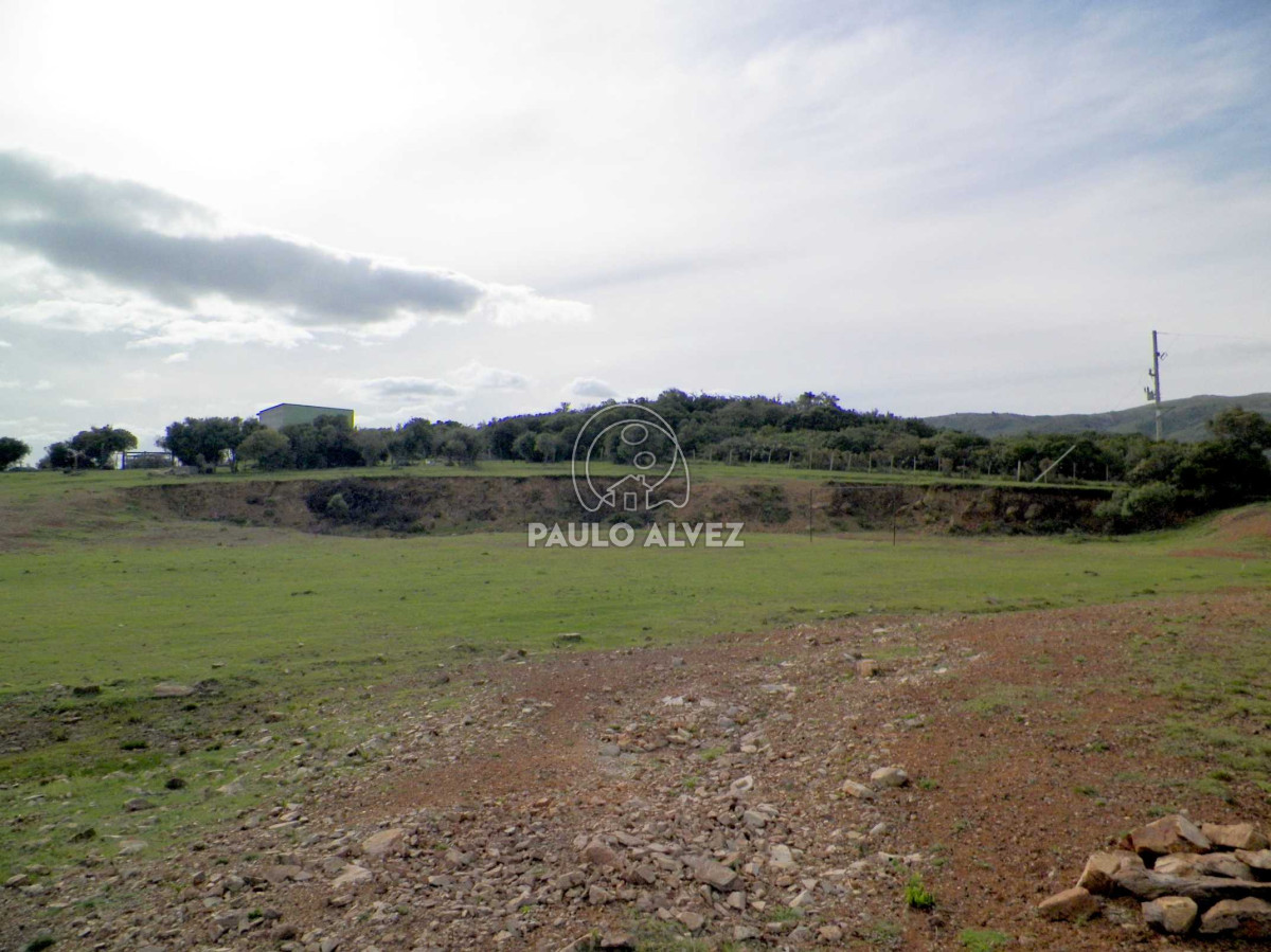 Chacra en Las Flores, propiedad 169935 -Imagen 10