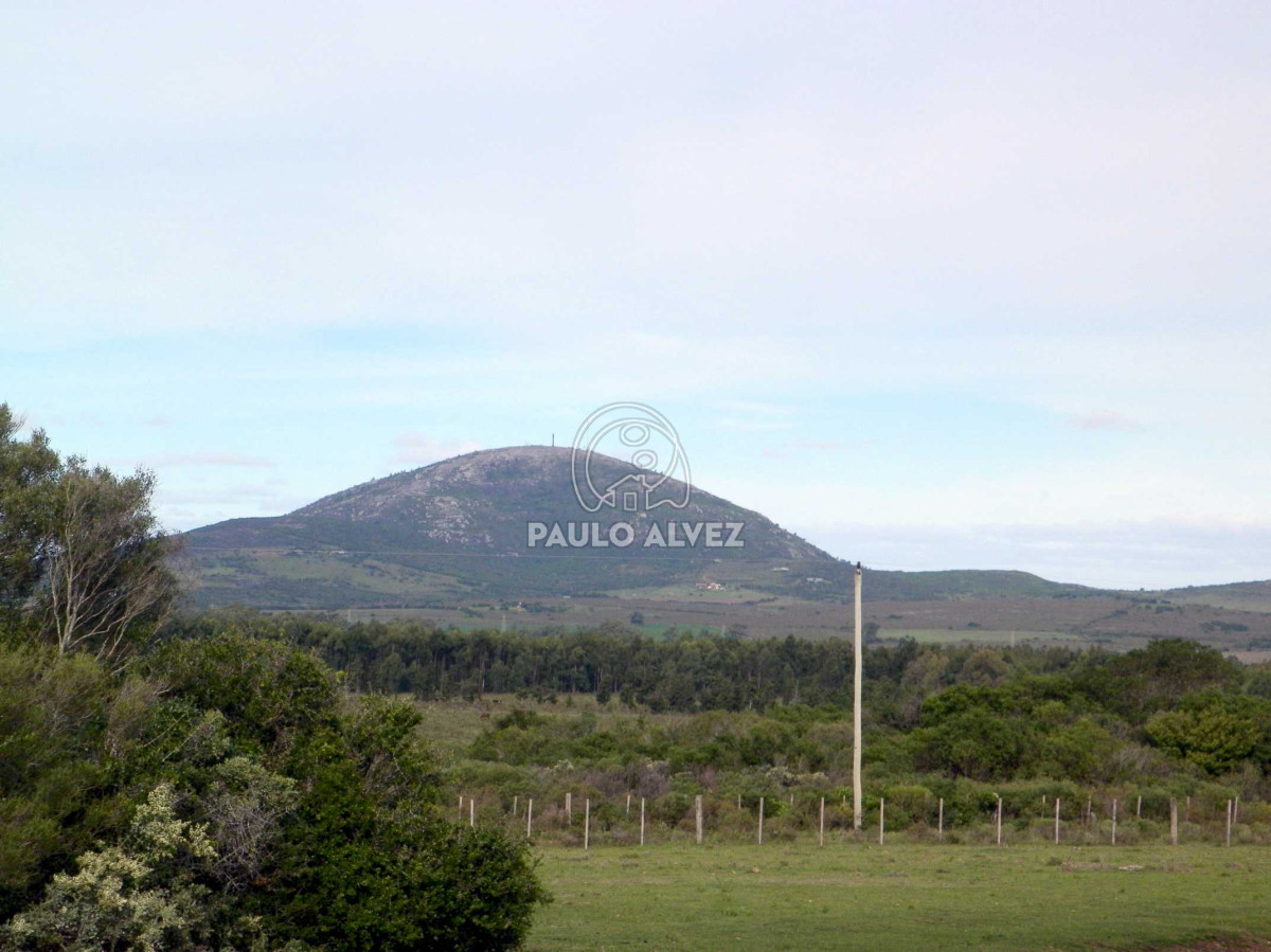 Chacra en Las Flores, propiedad 169935 -Imagen 12