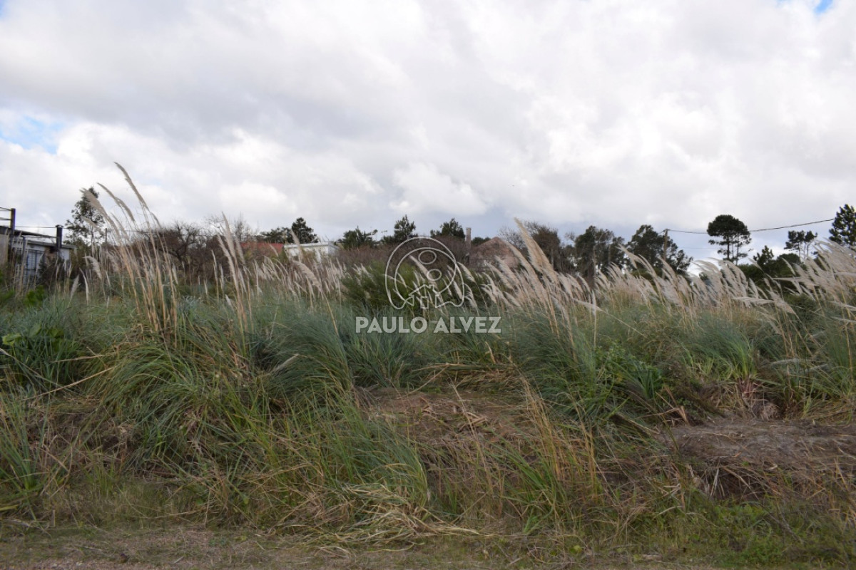 Terreno en Playa Grande, propiedad 169991 -Imagen 5