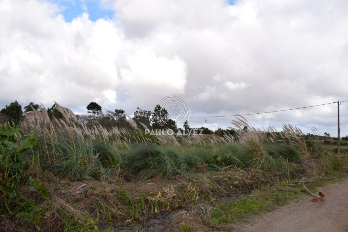 Terreno en Playa Grande, propiedad 169991 -Imagen 6