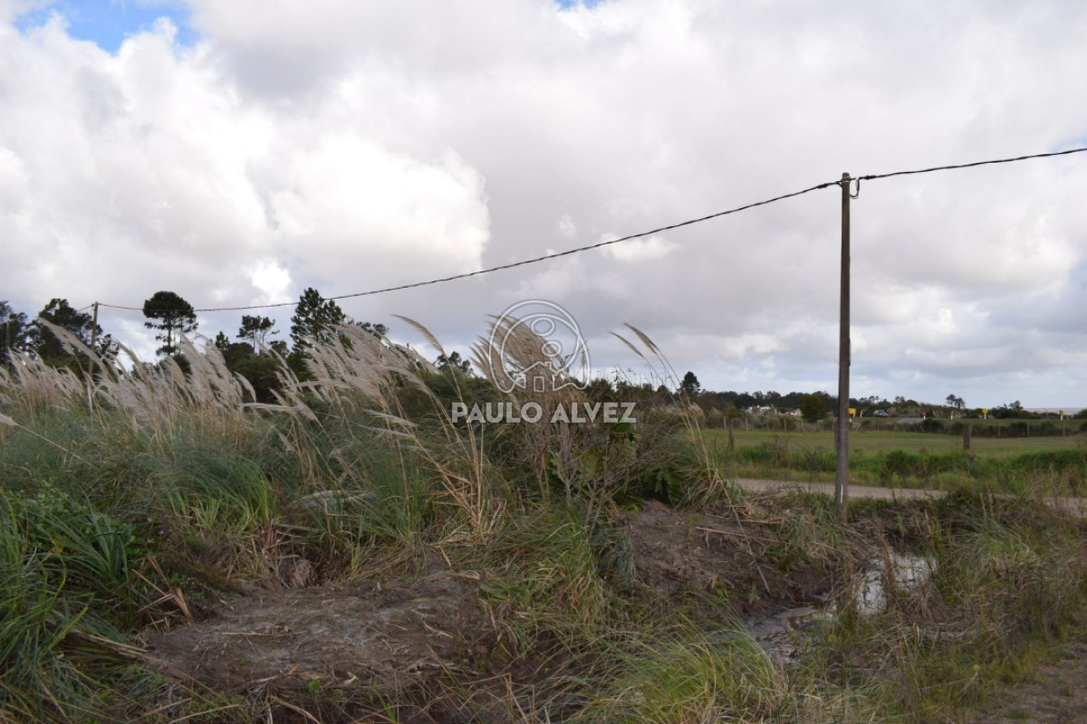 Terreno en Playa Grande, propiedad 169991 -Imagen 7