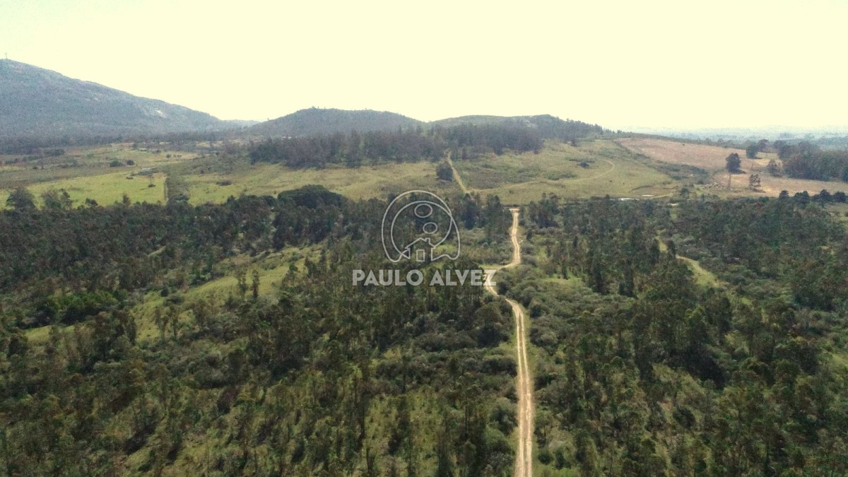 Chacra en Piriápolis, propiedad 170169 -Imagen 4
