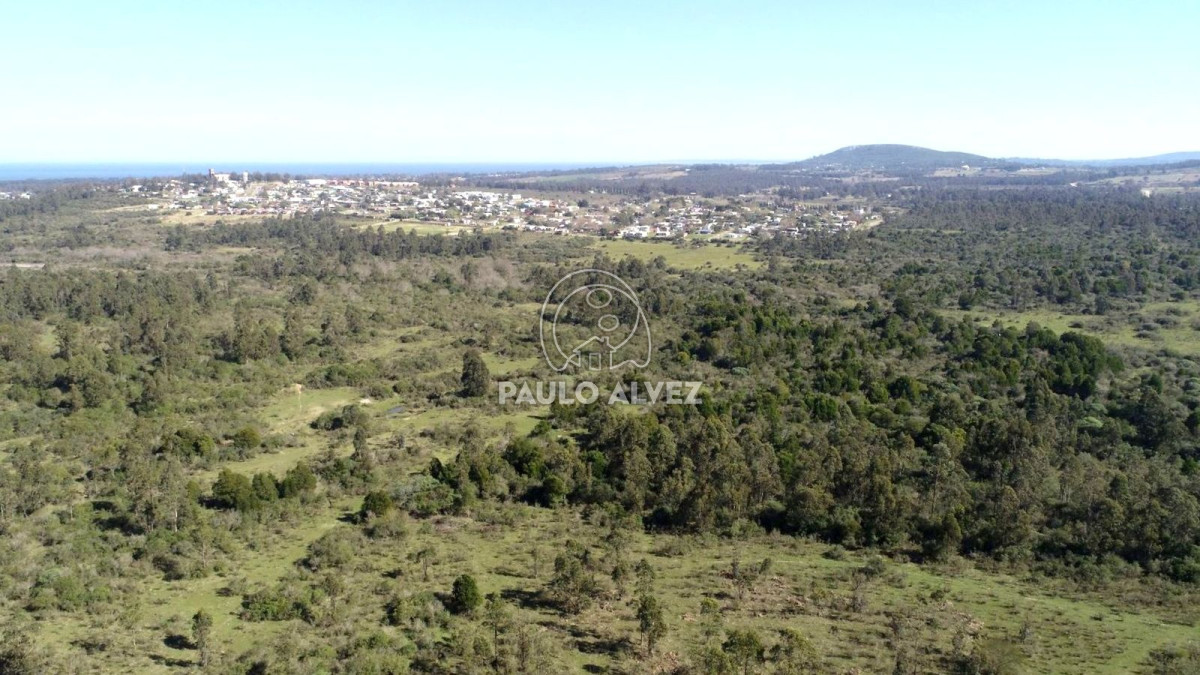 Chacra en Piriápolis, propiedad 170169 -Imagen 6