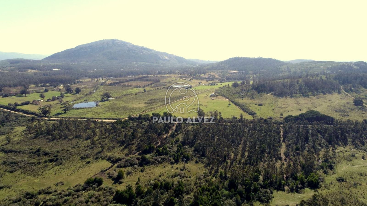 Chacra en Piriápolis, propiedad 170179 -Imagen 7