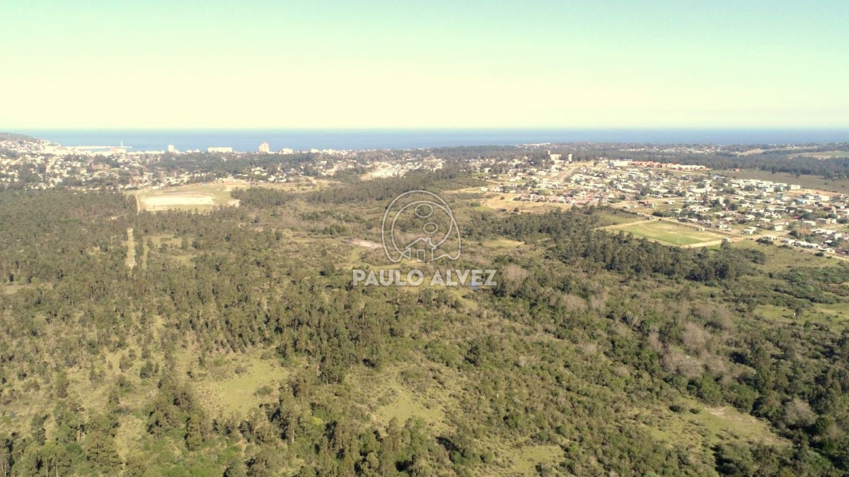Chacra en Piriápolis, propiedad 170180 -Imagen 7