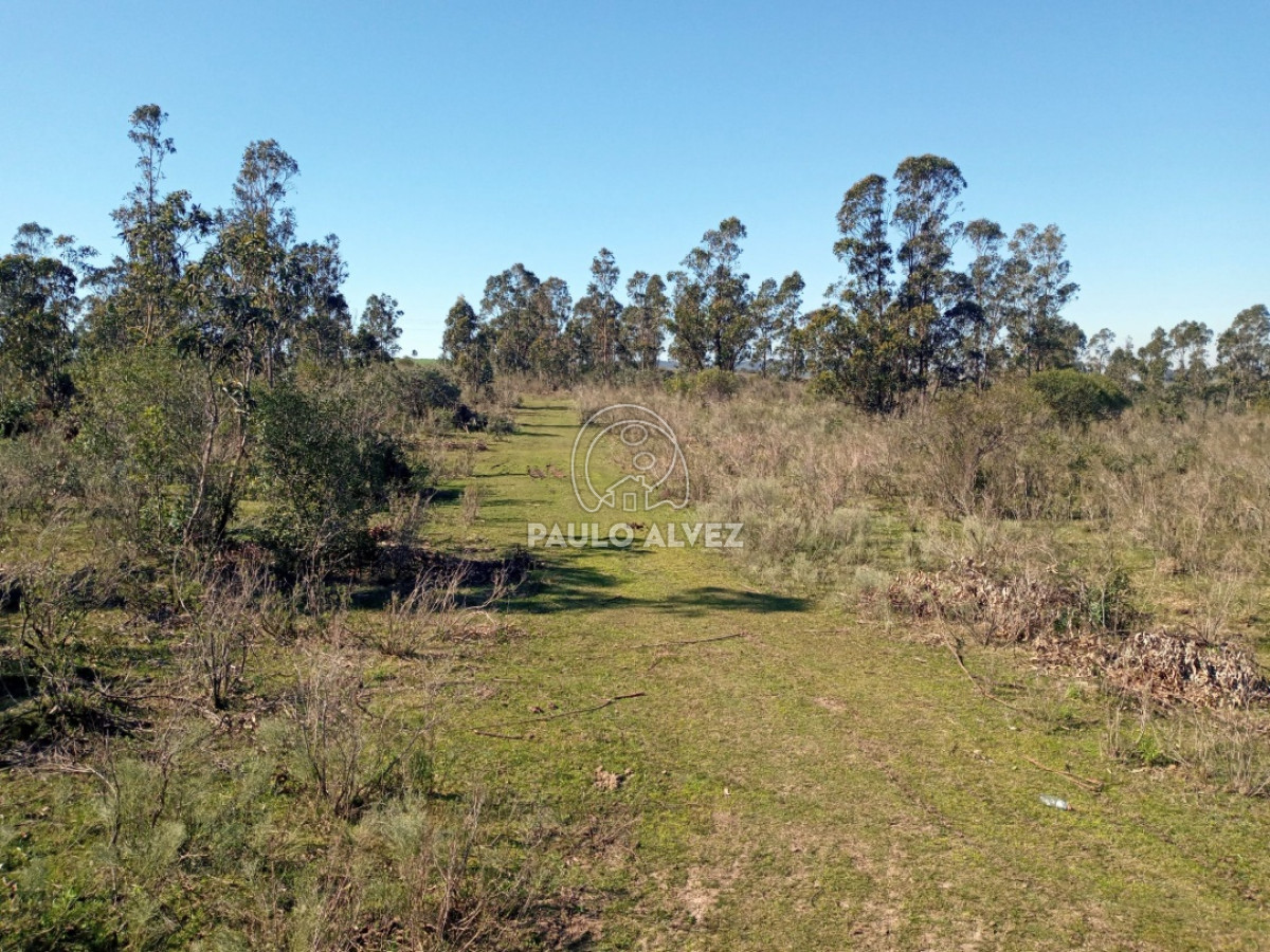 Chacra en Piriápolis, propiedad 170180 -Imagen 13