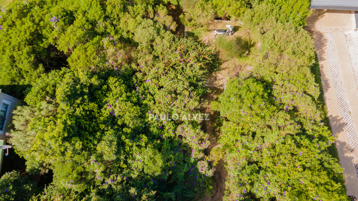 Terreno en Playa Hermosa , propiedad 173620 -Imagen 6