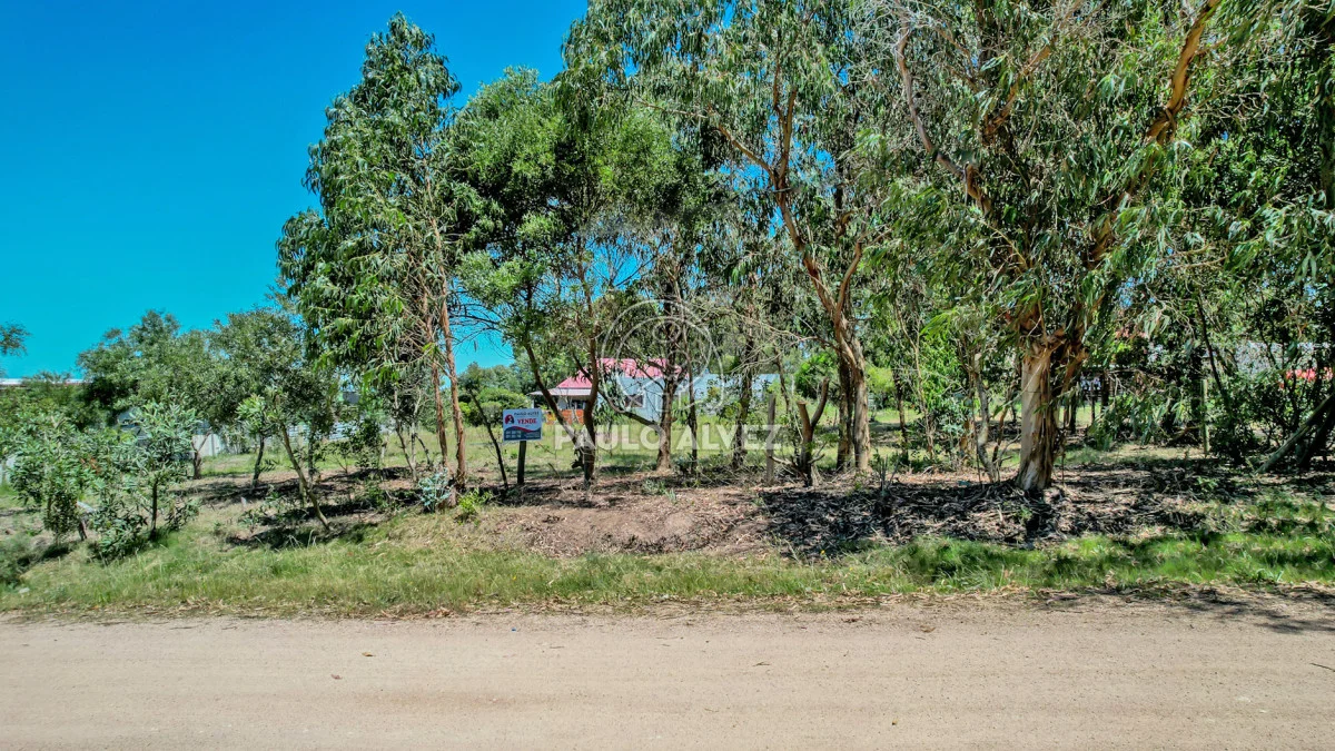 Terreno en Punta Negra, propiedad 230935 -Imagen 17