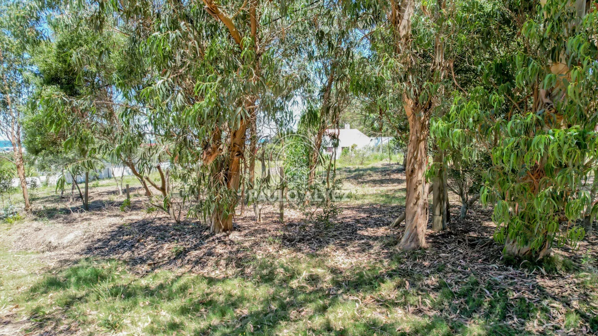 Terreno en Punta Negra, propiedad 230935 -Imagen 5