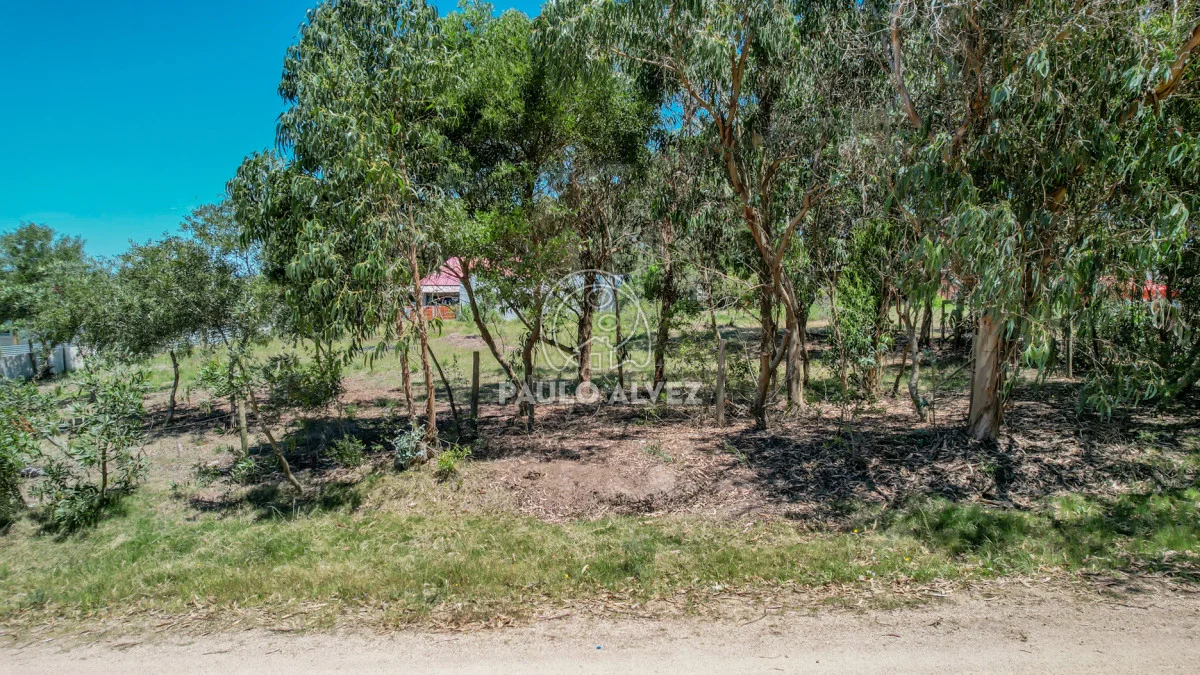 Terreno en Punta Negra, propiedad 230935 -Imagen 6
