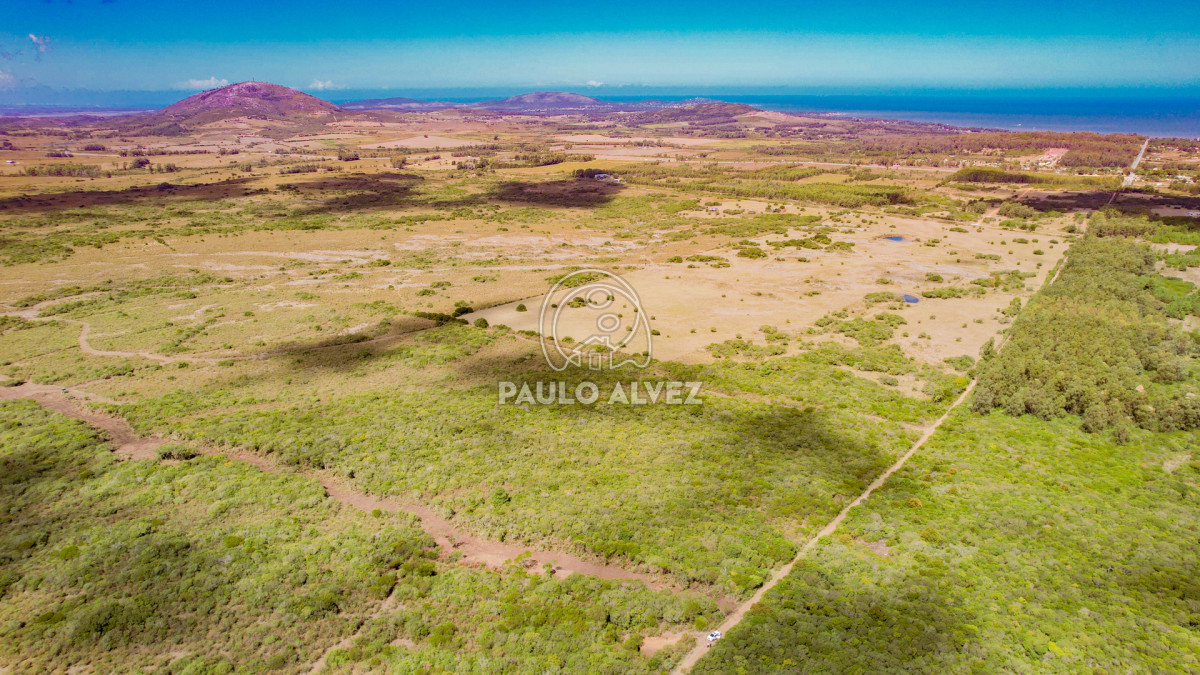 Chacra en Las Flores, propiedad 260190 -Imagen 7