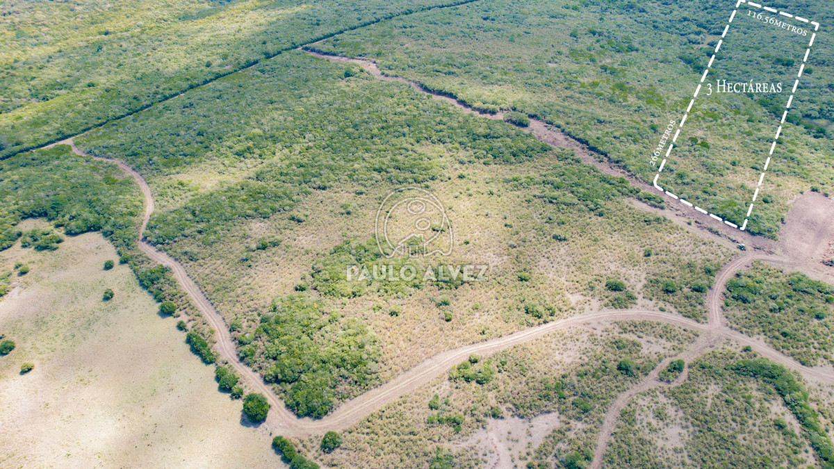 Chacra en Las Flores, propiedad 260200 -Imagen 3