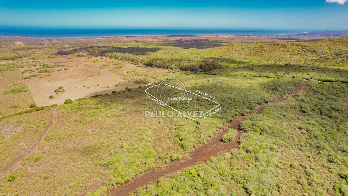 Chacra en Las Flores, propiedad 260214 -Imagen 4