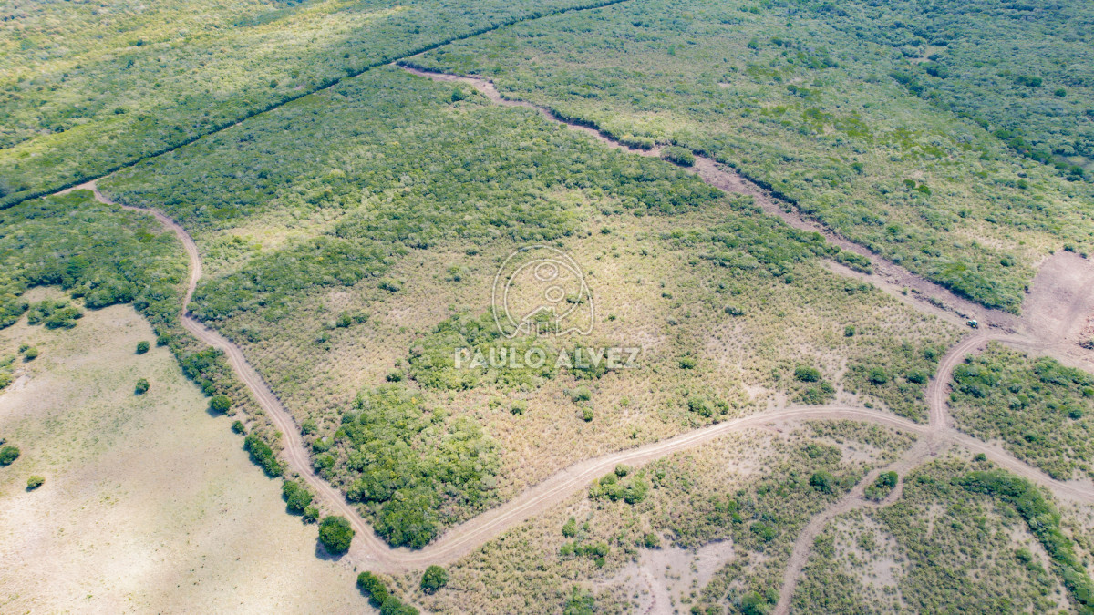 Chacra en Las Flores, propiedad 260215 -Imagen 6
