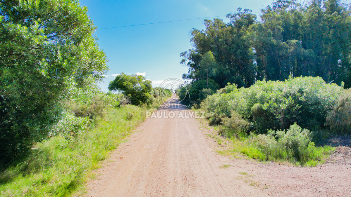Chacra en Pan de azucar, propiedad 262777 -Imagen 2
