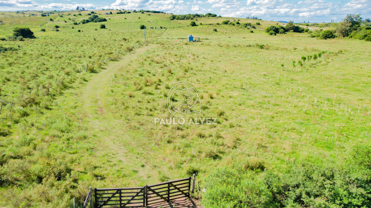 Chacra en Pan de azucar, propiedad 262777 -Imagen 5