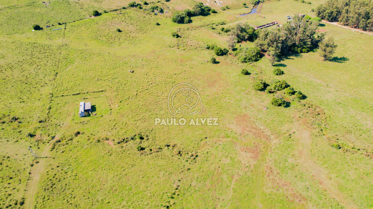 Chacra en Pan de azucar, propiedad 262777 -Imagen 6