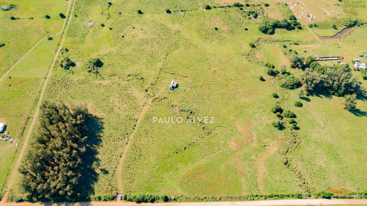 Chacra en Pan de azucar, propiedad 262777 -Imagen 7
