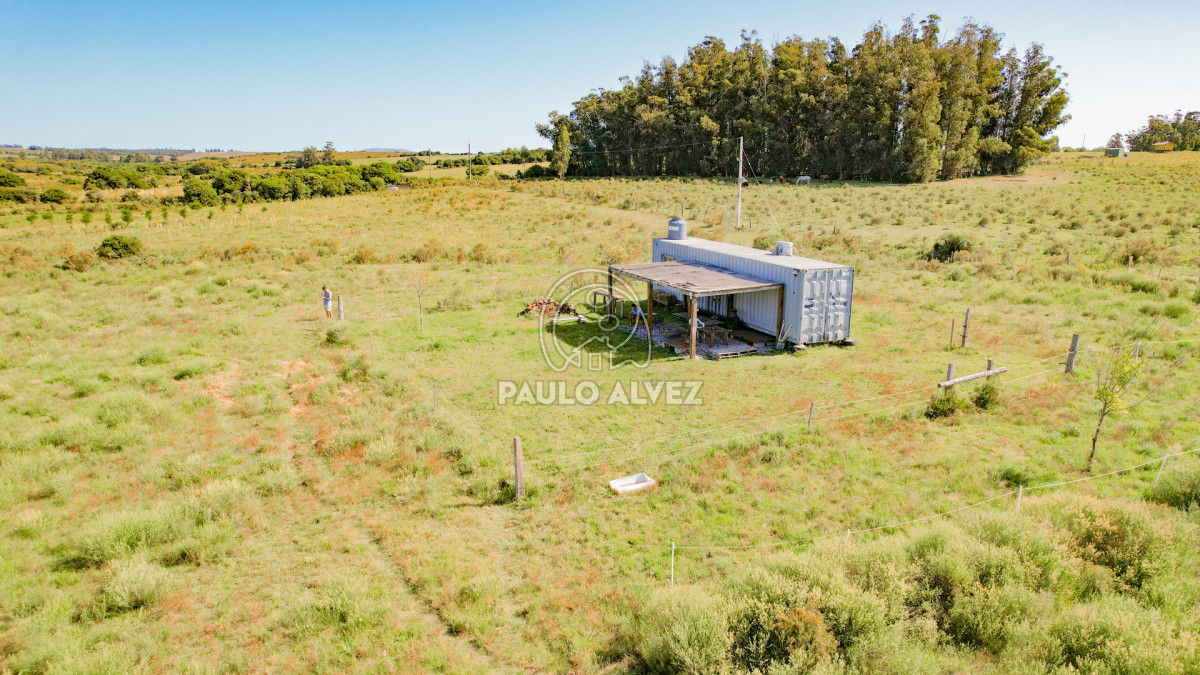 Chacra en Pan de azucar, propiedad 262777 -Imagen 8