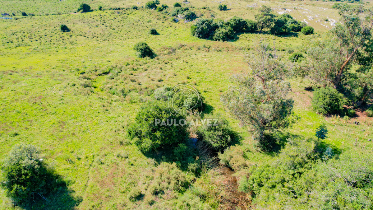 Chacra en Pan de azucar, propiedad 262777 -Imagen 17