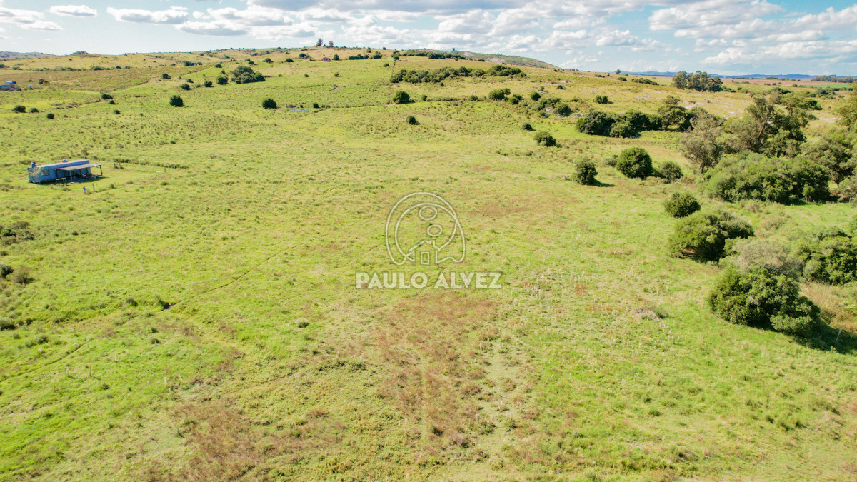 Chacra en Pan de azucar, propiedad 262777 -Imagen 18