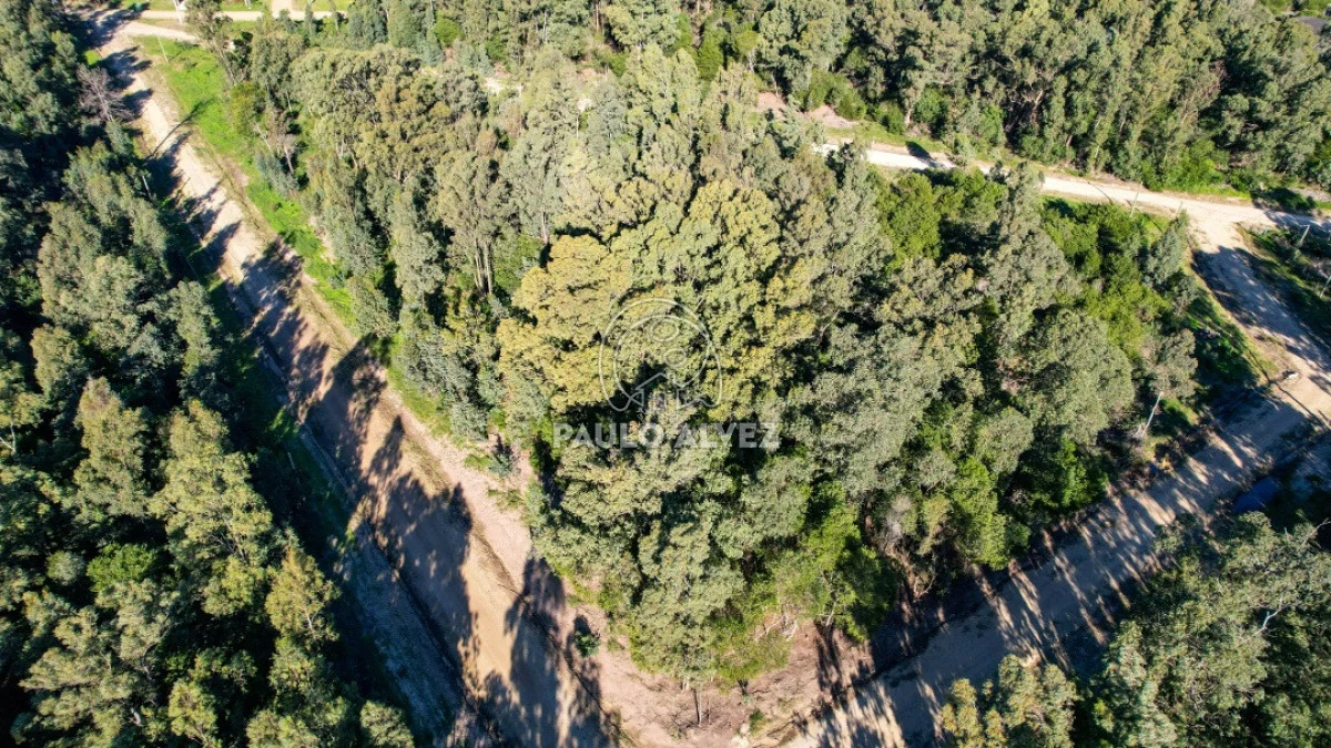 Terreno en Piriápolis, propiedad 262887 -Imagen 5